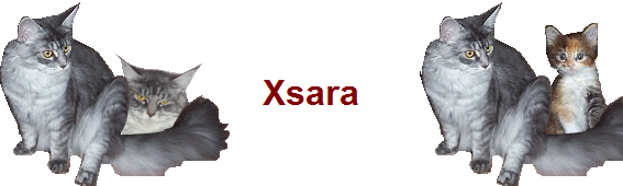 Xsara