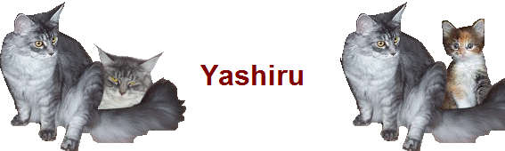 Yashiru