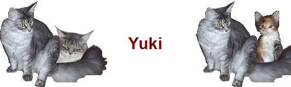 Yuki